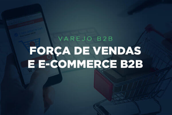 Força de Vendas e E-commerce B2B