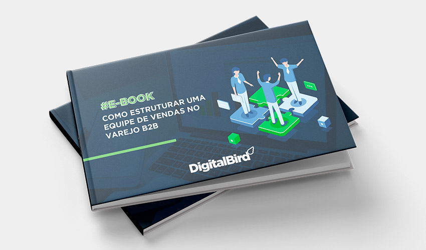 Como estruturar uma equipe de vendas no varejo B2B
